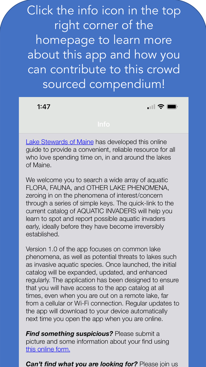 Maine Aquatic Phenomena