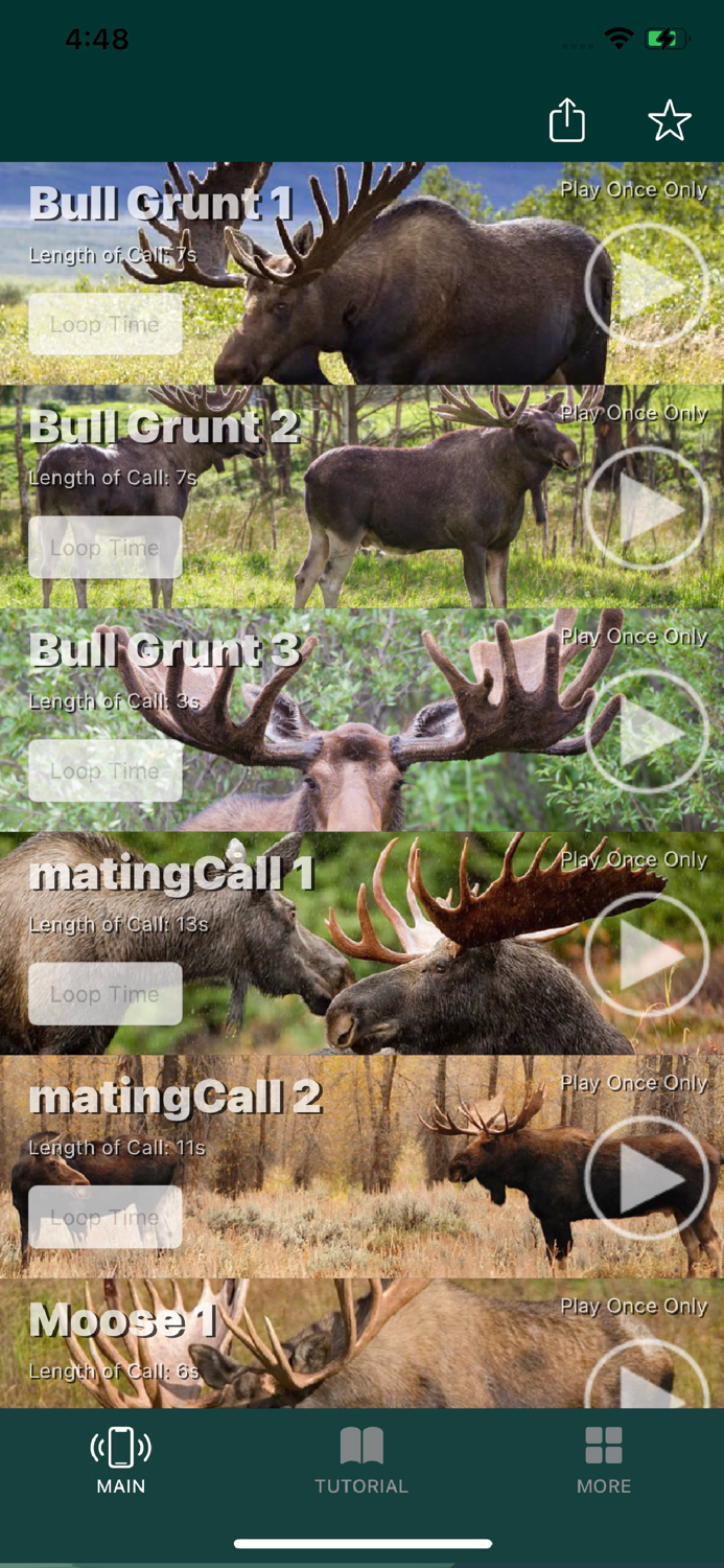 Moose Calls for Bull Hunter