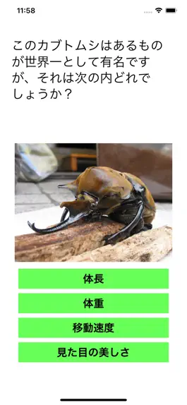 Game screenshot カブトムシ・クワガタムシクイズ　昆虫図鑑 apk
