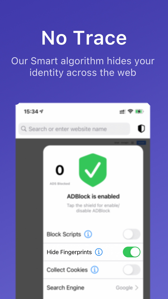 Ares Secure Browser  ADBlock