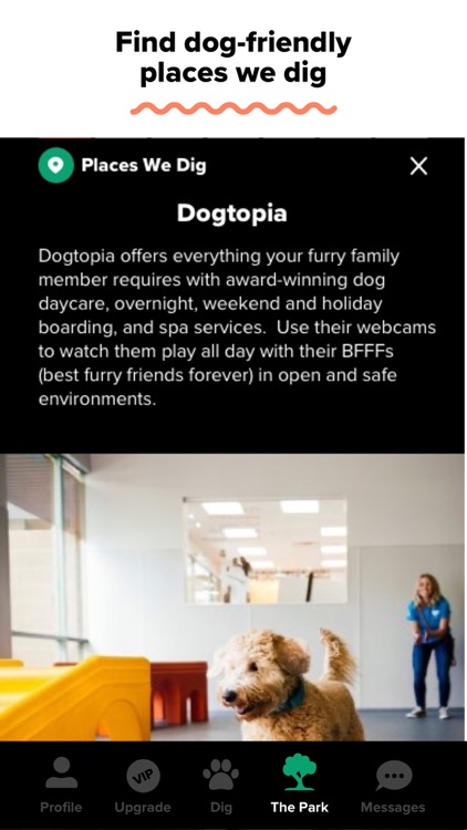 Dig - Dog Person’s Dating App screenshot-6