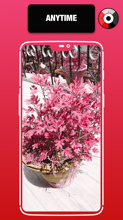 Color Changing Camera screenshot-4