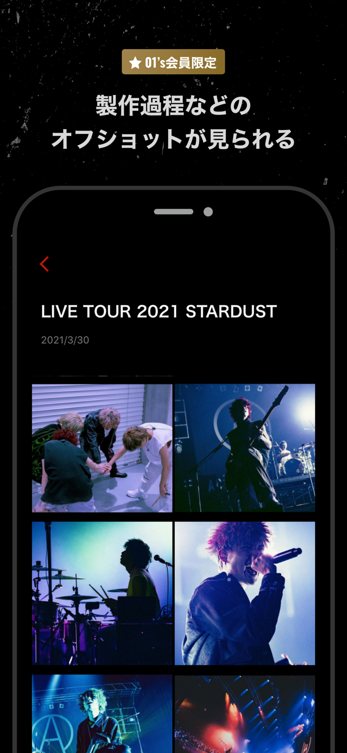 ACE COLLECTION OFFICIAL APP