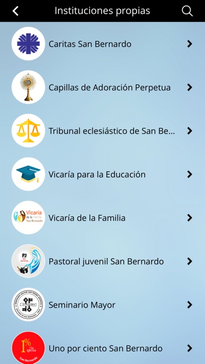 Diócesis de San Bernardo screenshot-3