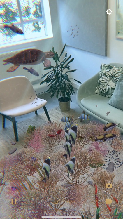 SHEBA® HOPE GROWS screenshot-3