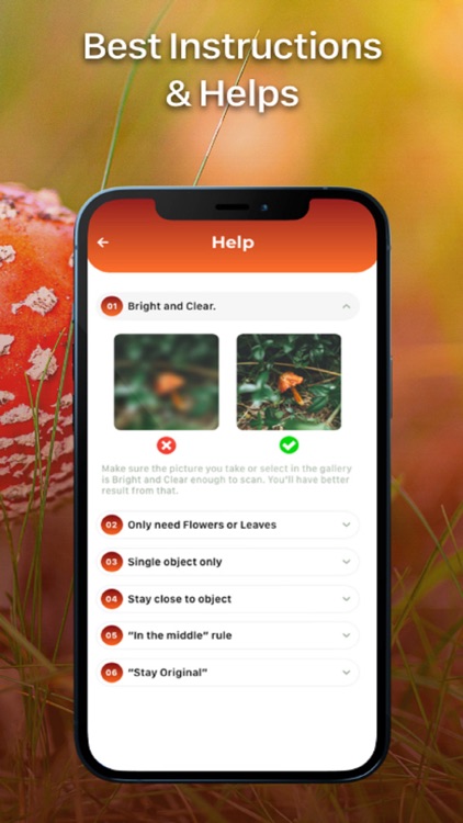 Mushroom Identification ++ screenshot-4