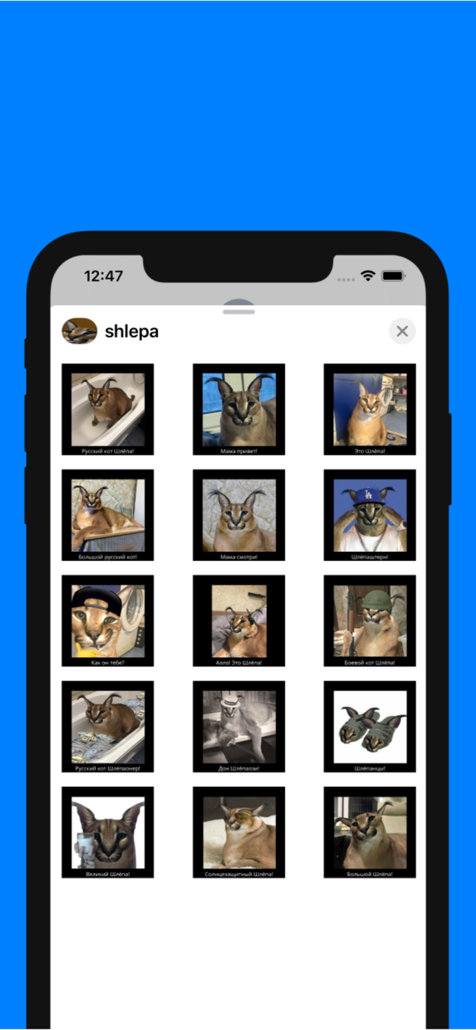 Русский кот Шлёпа