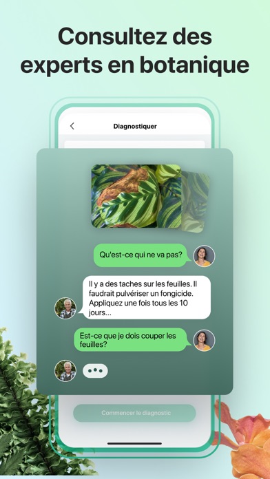 PictureThis-Identifier Plantes PictureThis-Identifier Plantes