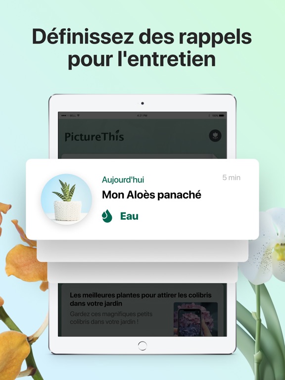 PictureThis-Identifier Plantes PictureThis-Identifier Plantes