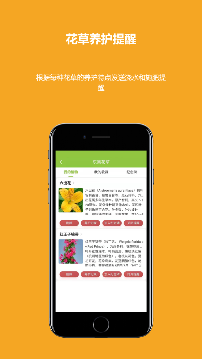 东篱花草-多肉智能绿植养护专家