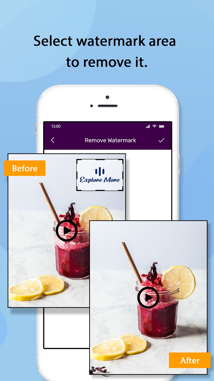 Video Watermark Remover