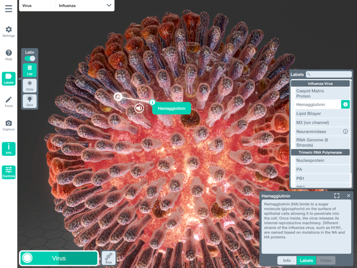 Sharecare YOU Anatomy Atlas