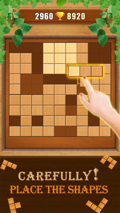 Wooden Block 99 screenshot 3