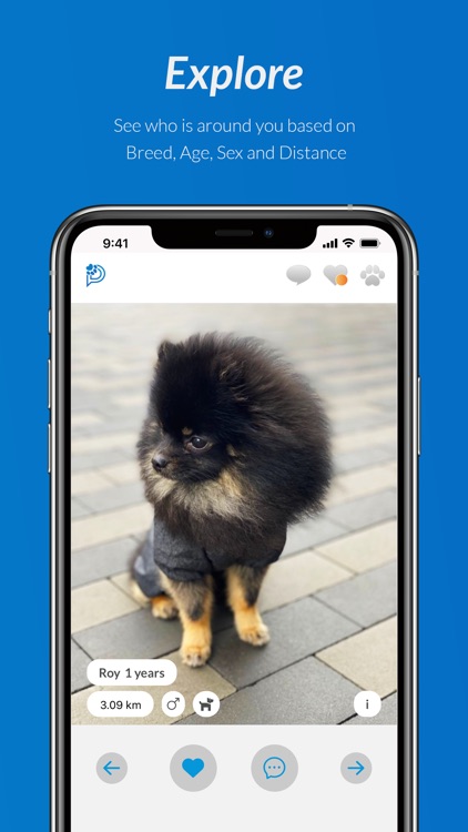 PetchApp