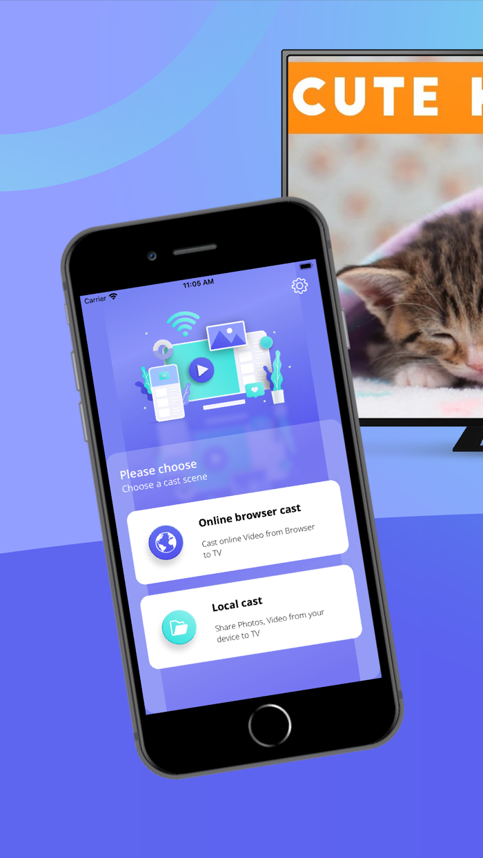 Web Cast Video  Browser to TV