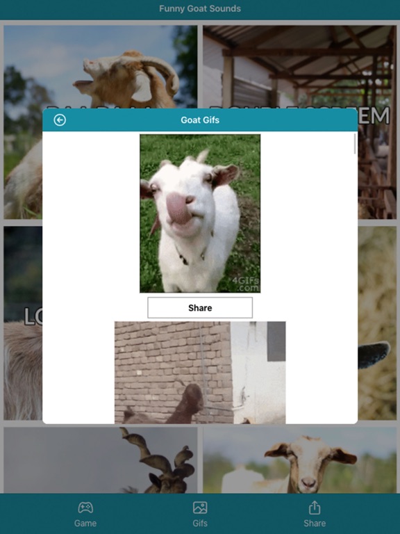 Screenshot #6 pour Funny Goat Sounds