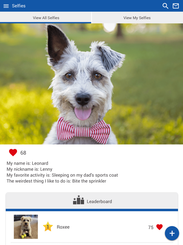 Stover Veterinary Services