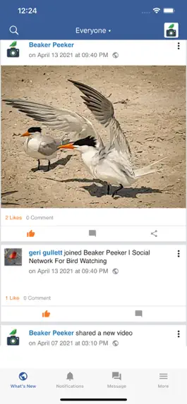 Game screenshot Beaker Peeker mod apk