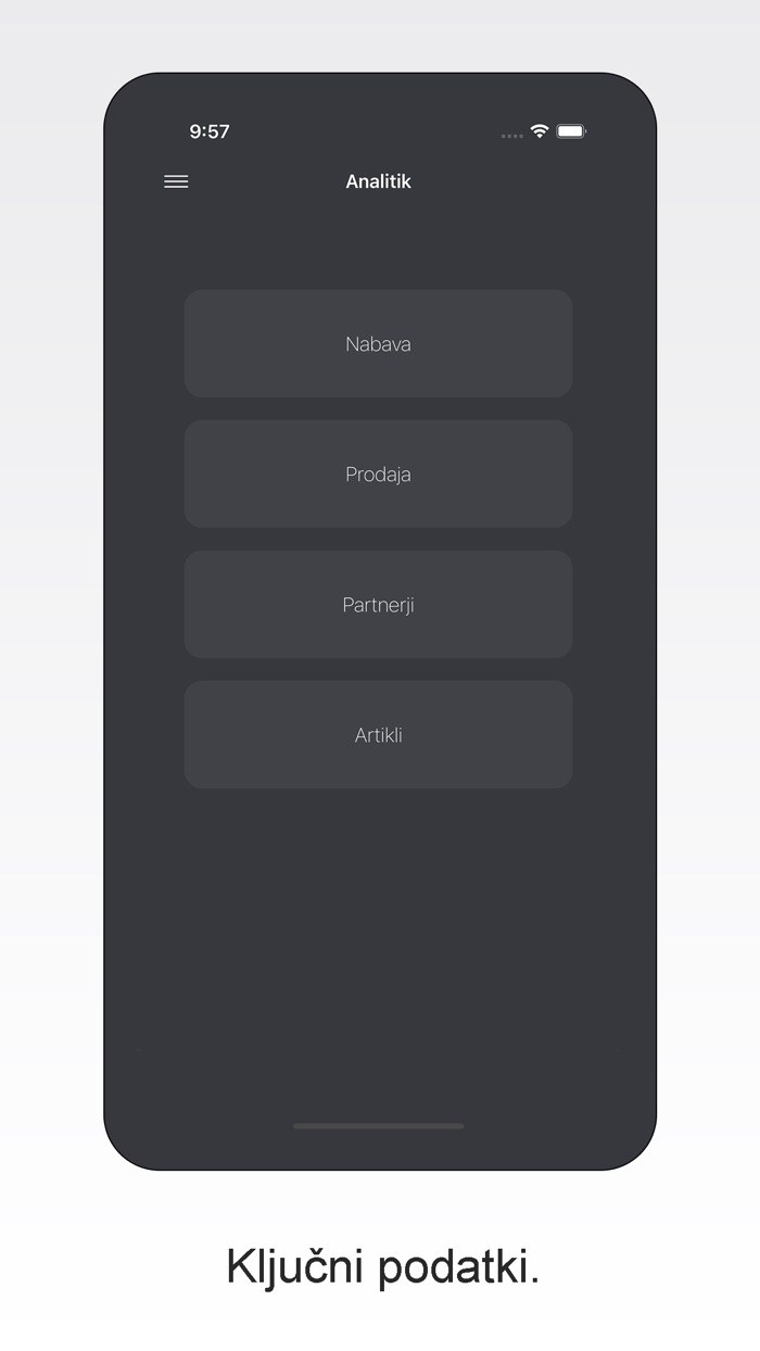 Analitik pregled poslovanja