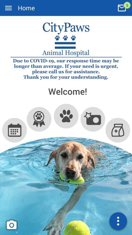 CityPaws Animal Hospital