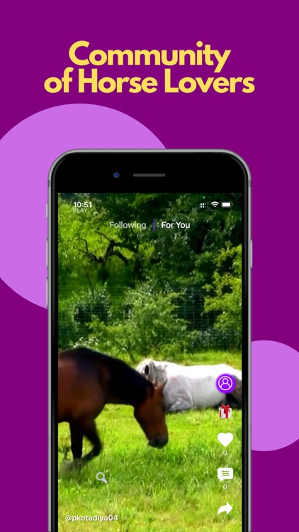 Clip Clop App