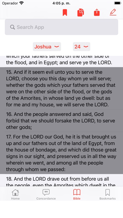 Bible Strongs Concordance screenshot-4
