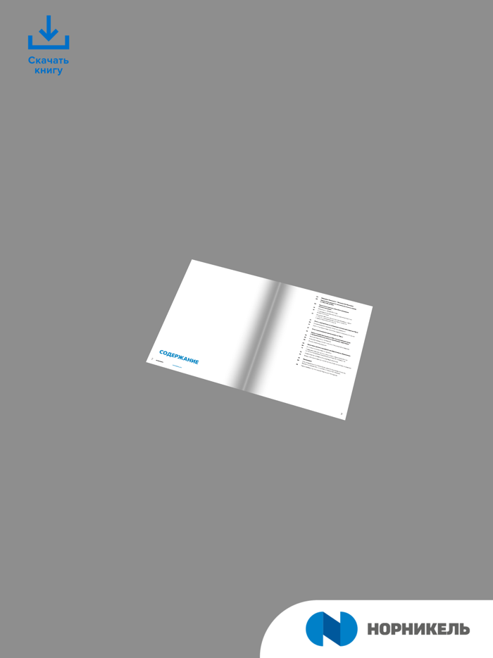 Белая Книга НН