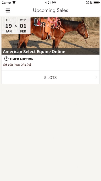 ASE Auctions