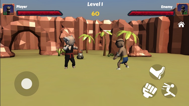 Ragdoll Fighter Simulation