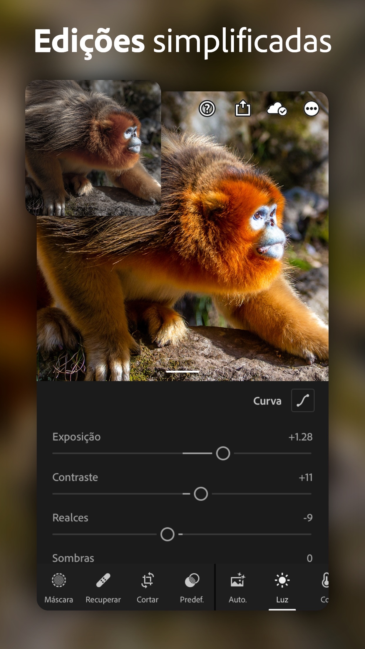 Screenshot do app Adobe Lightroom Editor de Foto