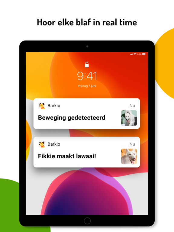Barkio: Honden Monitor iPad app afbeelding 5