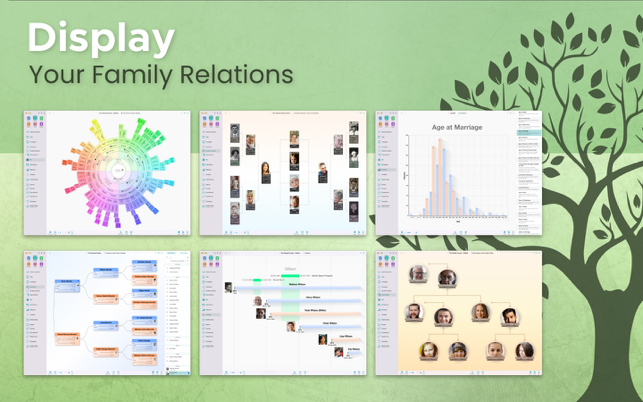 ‎MacFamilyTree 10 Screenshot