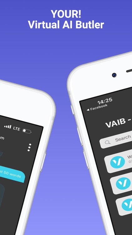 VAIB - Virtual AI Butler