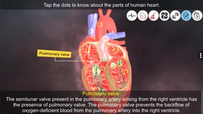 Heart - An incredible pump screenshot 4