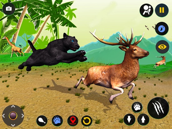 Wild Black Panther Furious Sim screenshot 2