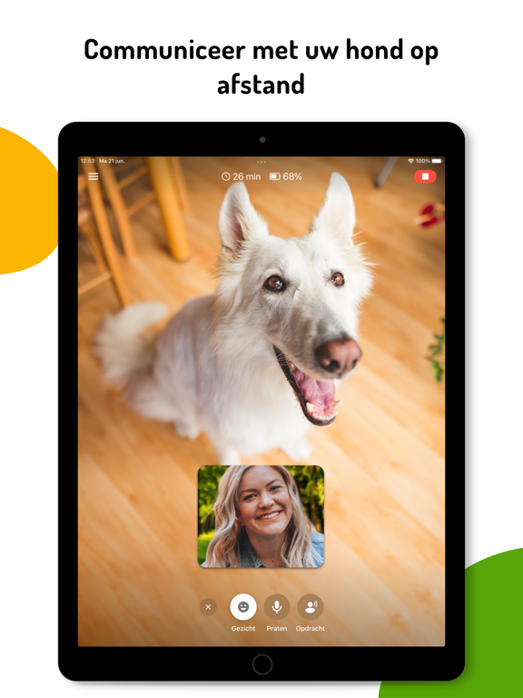 Barkio: Honden Monitor iPad app afbeelding 2