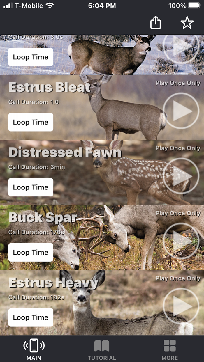 Mule Deer Calls