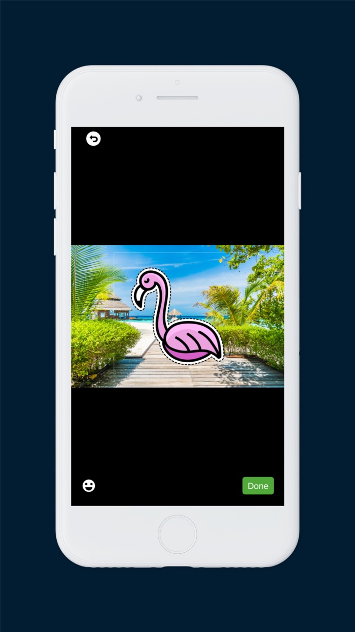 FxLines for social posts