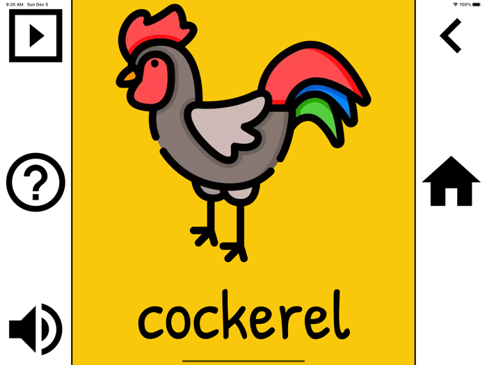 First Words Baby Flashcards UK