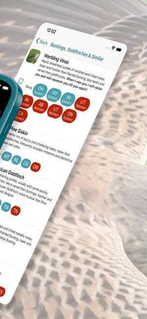 ‎Larkwire—Learn Bird ID Capture d'écran