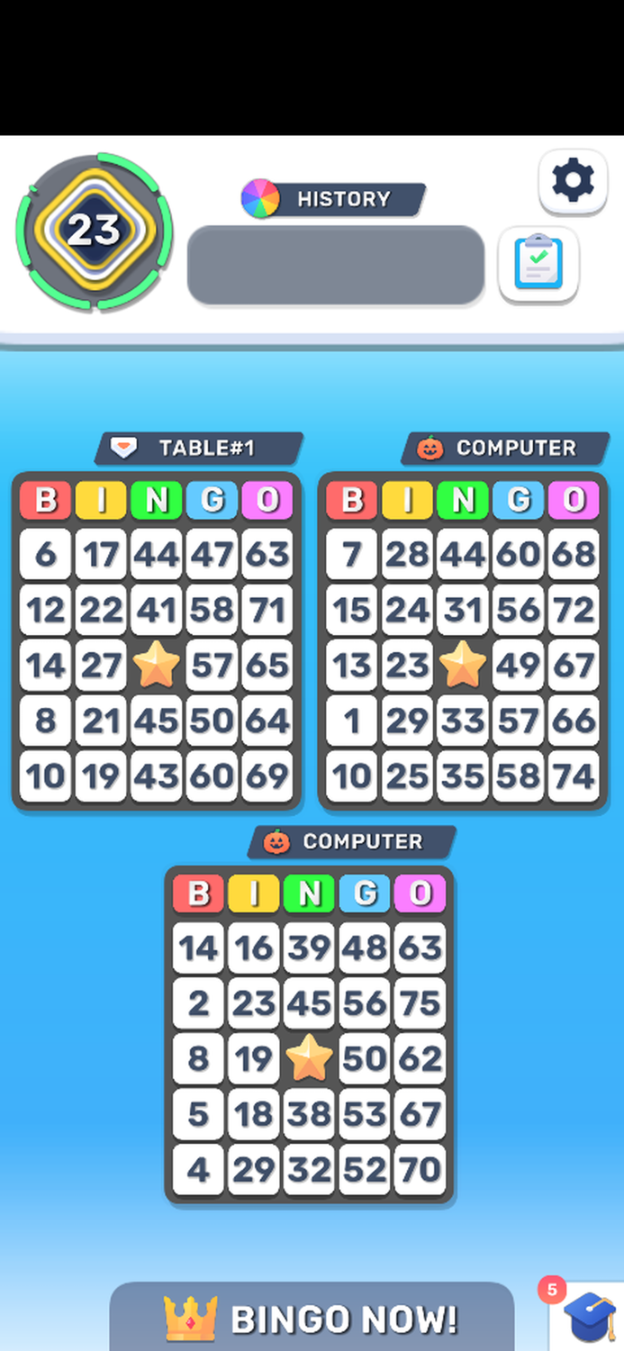 Bingo Loto Online