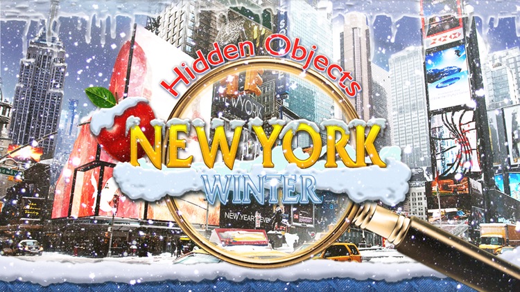 Hidden Object New York Winter