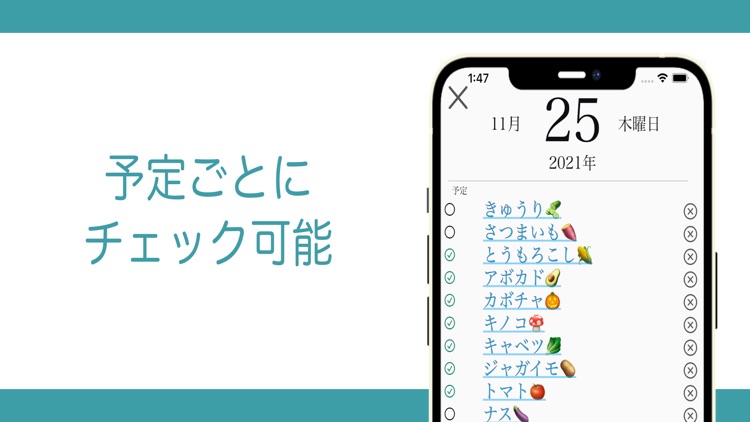 NSカレンダーPro screenshot-4