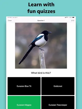 Captura de Pantalla 2 Smart Bird ID (Europe) iphone