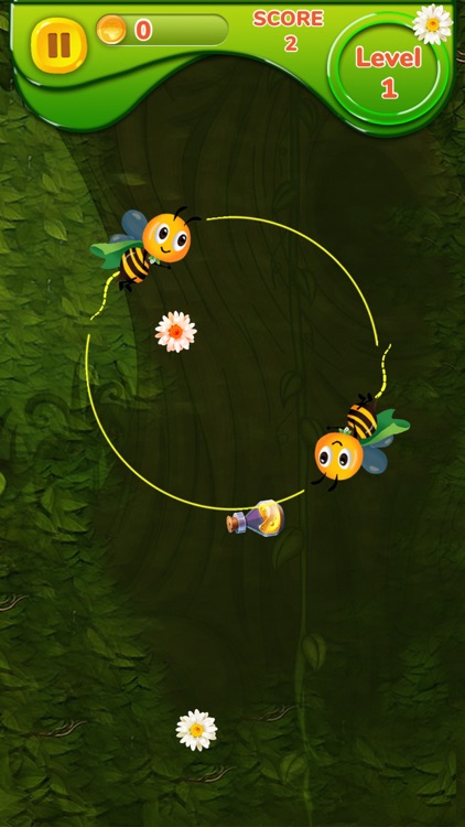 Circle Rush Flying Bees screenshot-4