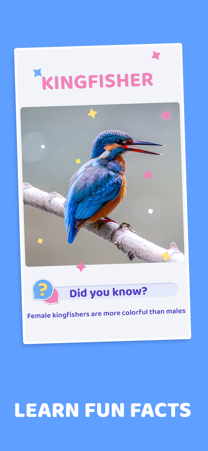 Word Pics - Trivia Puzzles