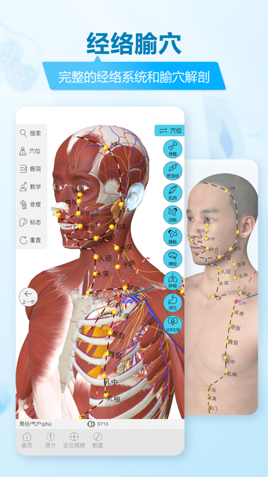 维萨里3D解剖教学