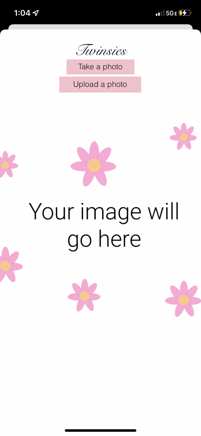 Twinsies - Celebrity Lookalike