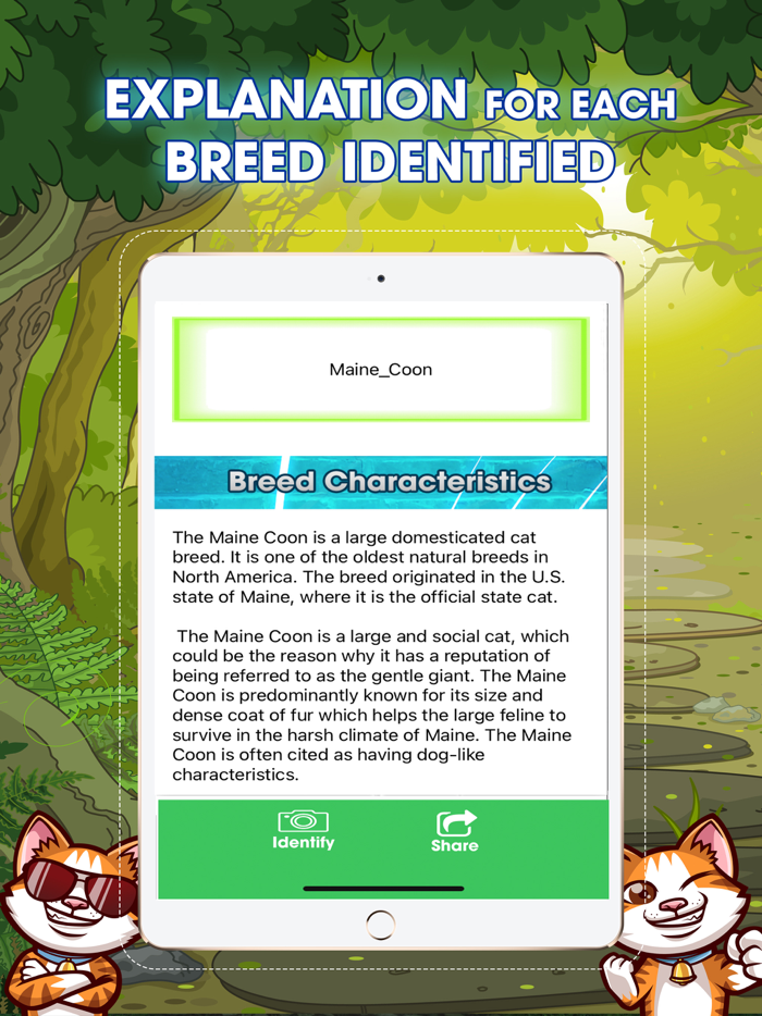 Cat Breeds Identifier