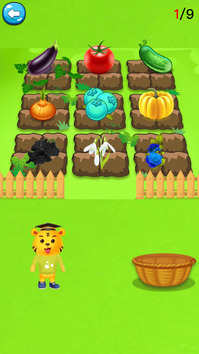 形状和颜色-认识颜色形状区分大小